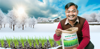 Plantar Césped en Invierno: Guía Completa y Consejos sembrar césped invierno consejos Sembrando Esperanza Guía Completa para Plantar Césped en Invierno con Expertos Consejos Descubre el Secreto de un Jardín Invernal Floreciente