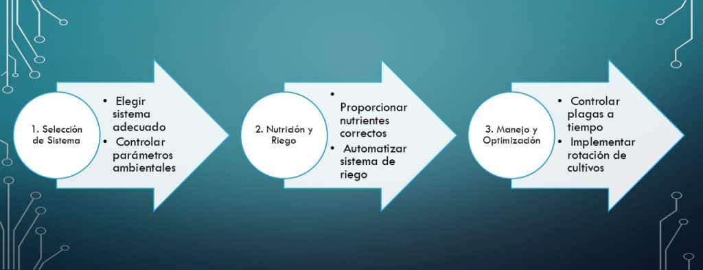 Cultivos en Espacios Pequeños en tres sencillos pasos entiendes este concepto y su aplicación