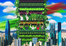 Agricultura Vertical y Urbana: El Futuro de la Producción Sostenible