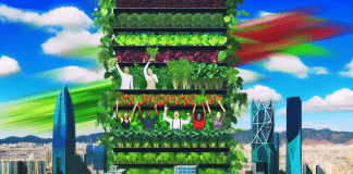 Agricultura Vertical y Urbana: El Futuro de la Producción Sostenible