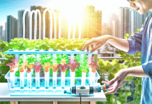 Ranking: Mejores Kits de Cultivo Hidropónico para Productividad y Sostenibilidad en Cultivos Indoor kit de cultivo hidropónico Kits hidropónicos Revoluciona el cultivo urbano con tecnología y naturaleza Descubre la sostenibilidad en casa