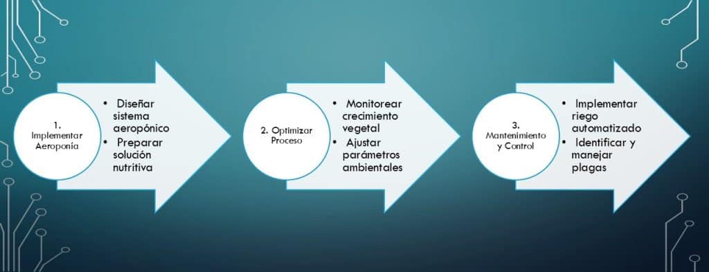 Aeroponía agricultura sostenible en tres sencillos pasos entiendes este concepto y su aplicación