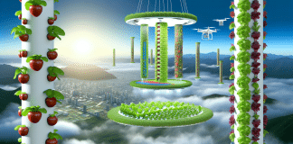 Sistema Hidropónico Aeroponia: La Evolución del Cultivo Sin Suelo