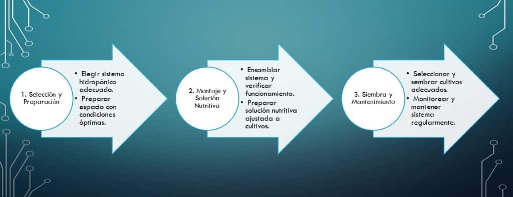 Cómo hacer hidroponía profesional en tres sencillos pasos entiendes este concepto y su aplicación