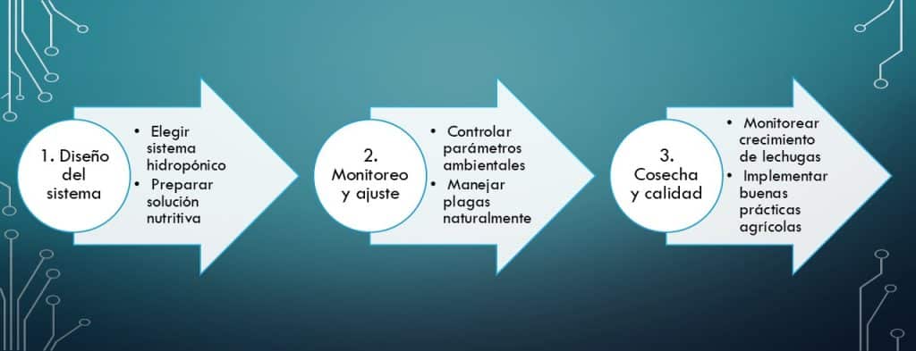 Cultivo Hidropónico Lechugas en tres sencillos pasos entiendes este concepto y su aplicación