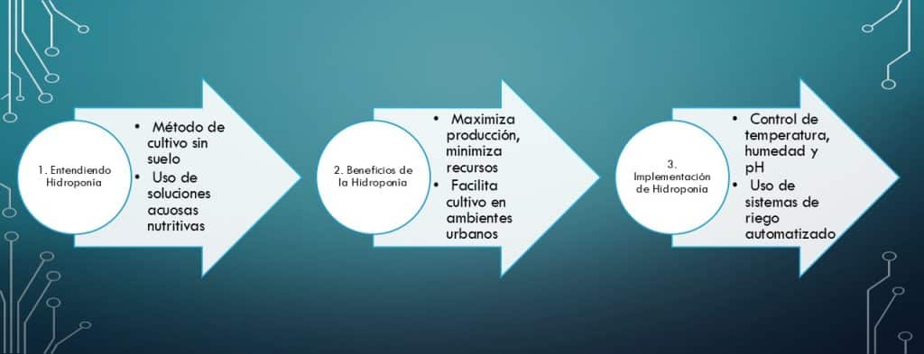 Hidroponía cultivo futuro en tres sencillos pasos entiendes este concepto y su aplicación