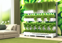 Hidroponía Vertical Casera: Multiplica tu Producción en Espacios Pequeños