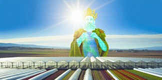 ¿Qué es un Invernadero? La Solución Definitiva para Cultivos Protegidos