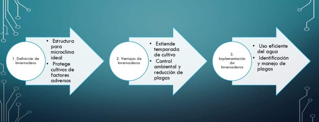 Invernaderos Solución Cultivos Protegidos en tres sencillos pasos entiendes este concepto y su aplicación