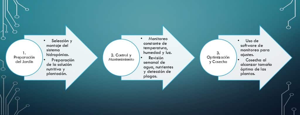 Jardín hidropónico guía paso a paso en tres sencillos pasos entiendes este concepto y su aplicación