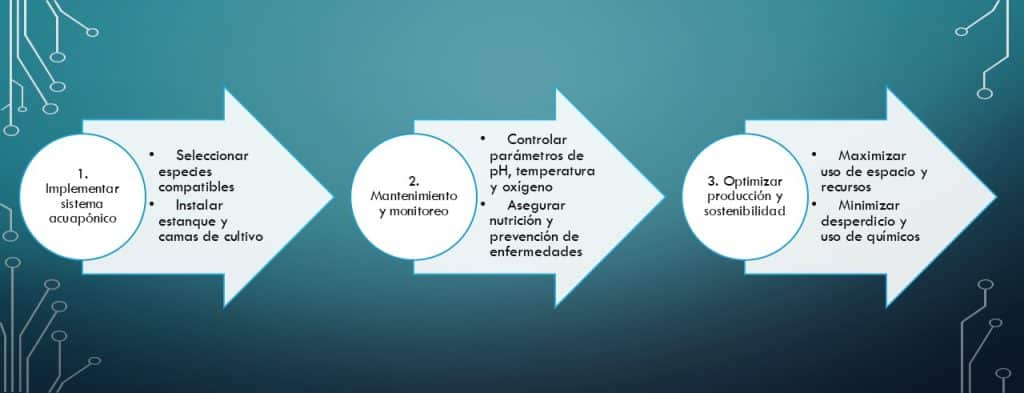 Sistemas Acuapónicos Sostenibles en tres sencillos pasos entiendes este concepto y su aplicación