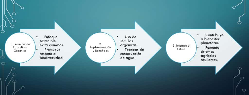 agricultura orgánica sostenible saludable en tres sencillos pasos entiendes este concepto y su aplicación