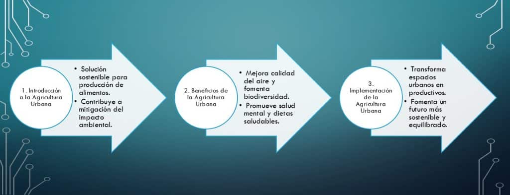 beneficios agricultura urbana en tres sencillos pasos entiendes este concepto y su aplicación