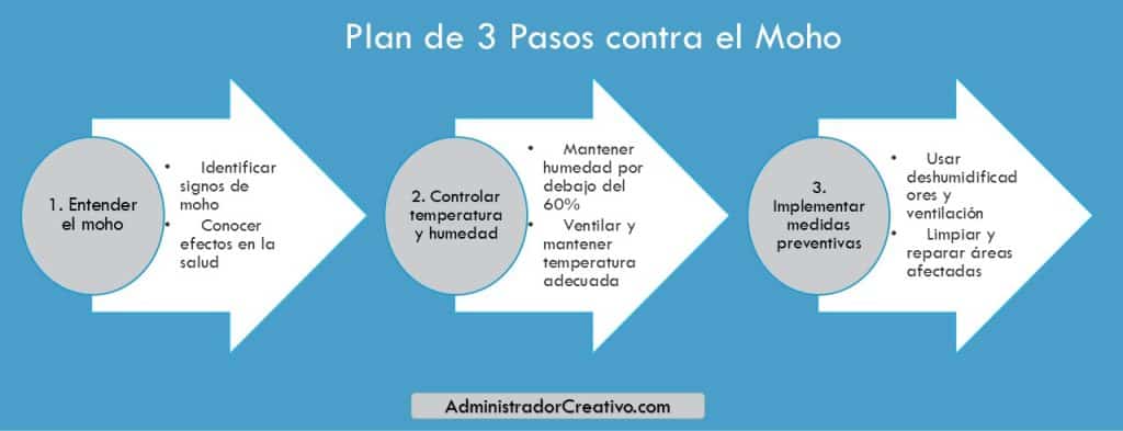 a que temperatura muere el moho en tres sencillos pasos resuelves este problema