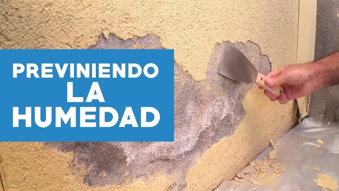 como eliminar para siempre la humedad de las paredes-Eliminar humedad paredes
