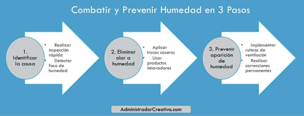 como quitar el olor a humedad rápido en tres sencillos pasos resuelves este problema