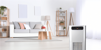 Elimina rápido el olor a humedad: Guía paso a paso con trucos y soluciones efectivas