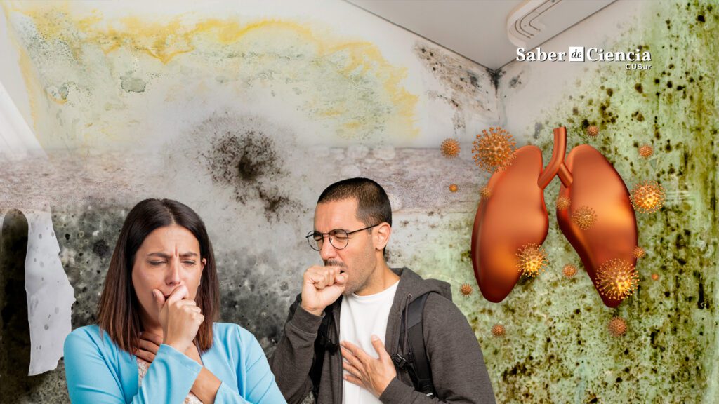 consecuencias de dormir en una habitación con moho-Problemas respiratorios por moho