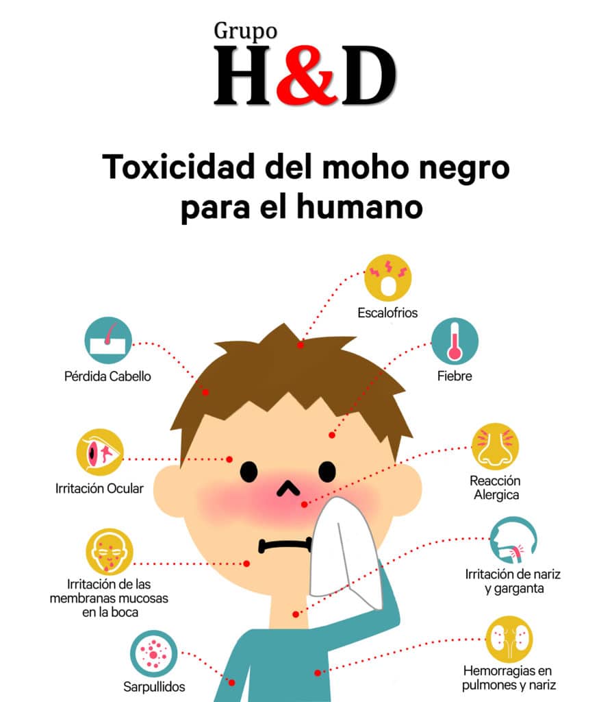 consecuencias de dormir en una habitación con moho-Problemas respiratorios por moho