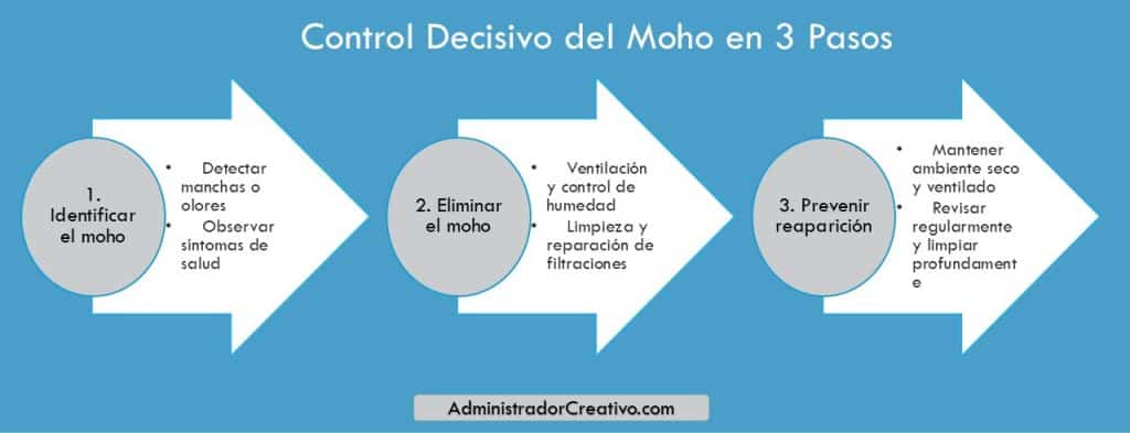 consecuencias de dormir en una habitación con moho en tres sencillos pasos resuelves este problema