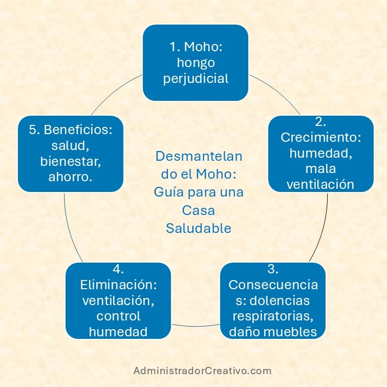 consecuencias de dormir en una habitación con moho resumido en cinco factores claves