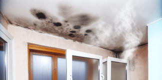 Conoce la diferencia entre humedad y condensación y cómo afectan tu hogar – Controla la temperatura del aire y su capacidad para retener el vapor del agua