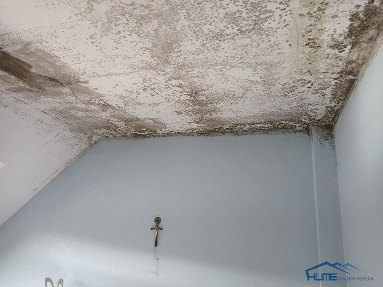 humedad en el techo del baño solución-Solución humedad techo baño