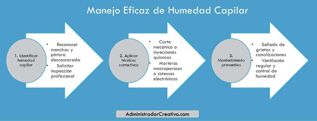 humedad por capilaridad en paredes en tres sencillos pasos resuelves este problema