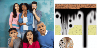 Combatir la humedad por capilaridad en casa: Soluciones eficientes – Enemigo silencioso que surge de las paredes