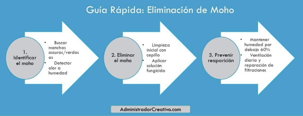 moho en las paredes peligroso en tres sencillos pasos resuelves este problema