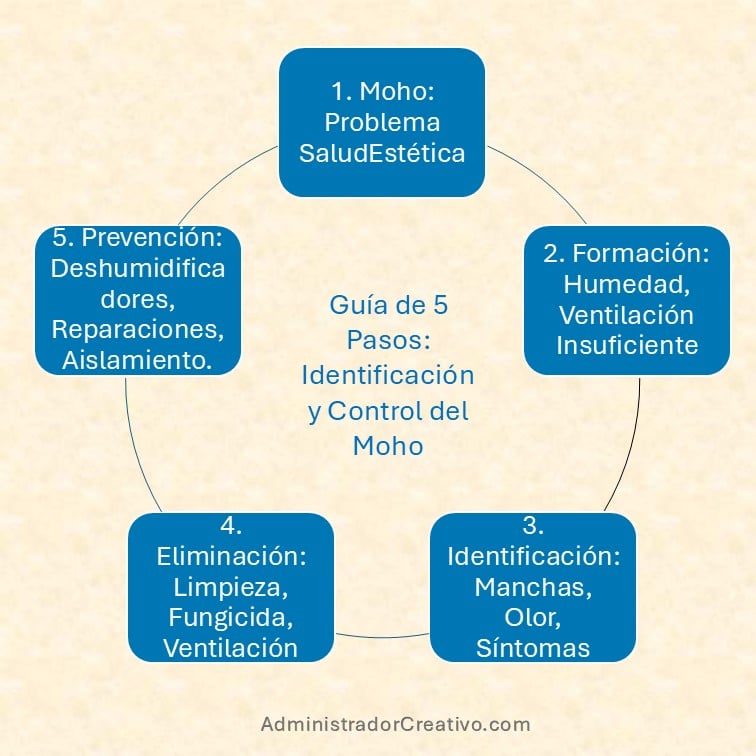 moho en las paredes peligroso resumido en cinco factores claves