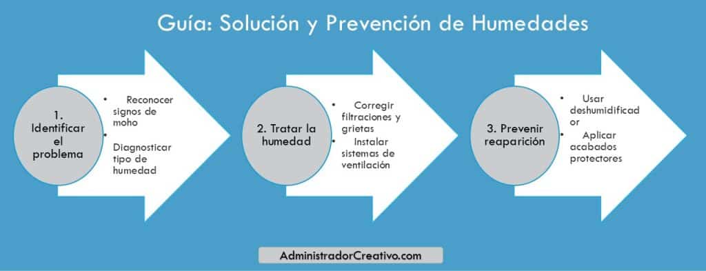 quitar moho pared definitivamente en tres sencillos pasos resuelves este problema