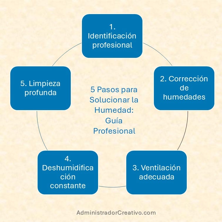 quitar moho pared definitivamente resumido en cinco factores claves