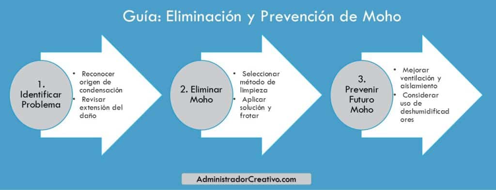 quitar moho paredes por condensación en tres sencillos pasos resuelves este problema