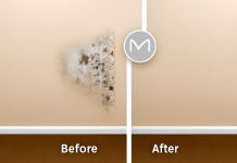 5 Soluciones Efectivas para Eliminar Definitivamente el Moho de tus Paredes ¿Son suficientes los métodos caseros?