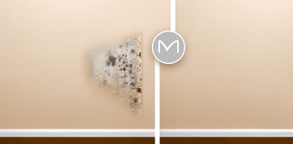 5 Soluciones Efectivas para Eliminar Definitivamente el Moho de tus Paredes ¿Son suficientes los métodos caseros?