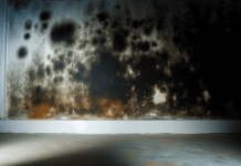 Termina ya con el moho y la condensación pero también previene su aparición: Guía completa para un hogar sano y sin humedad