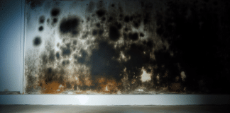 Termina ya con el moho y la condensación pero también previene su aparición: Guía completa para un hogar sano y sin humedad