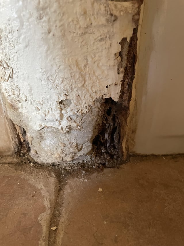 tipos de humedades en paredes-Humedad en paredes daños