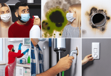 Identificar y erradicar tipos de moho en paredes para un hogar saludable ¿El moho verde es realmente tóxico?