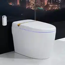 High Quality vs Smart Bidet: ¿Cuál elegir?
