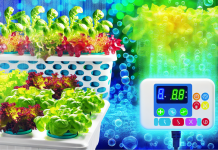 Hidroponía en Casa: Tus Primeros Pasos para Crear un Ecosistema Rentable y Sostenible gracias a la Inteligencia Artificial