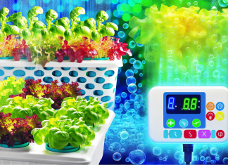 Hidroponía en Casa: Tus Primeros Pasos para Crear un Ecosistema Rentable y Sostenible gracias a la Inteligencia Artificial