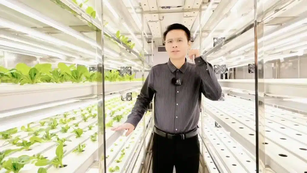 curso hidroponía comercial hortalizas hoja latinoamerica-Hidroponía comercial hortalizas hoja