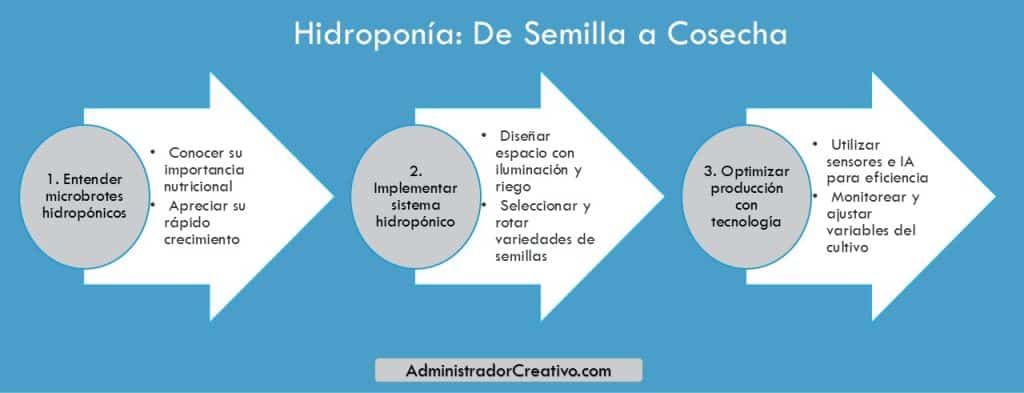 microbrotes hidropónicos agricultura vertical sostenible en tres sencillos pasos resuelves este problema