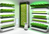 Integración de inteligencia artificial en la agricultura vertical: Guía para cultivar microgreens de pepino en tu hogar
