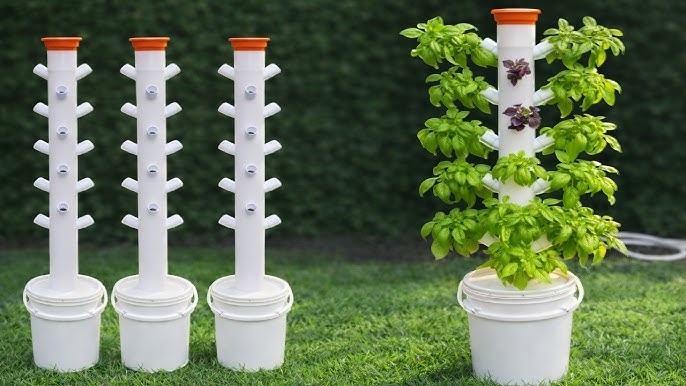 soberanía alimentaria con hidroponía-Hidroponía en casa