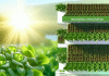 Soberanía alimentaria y sostenibilidad: La revolución de la hidroponía y la agricultura vertical en tu hogar