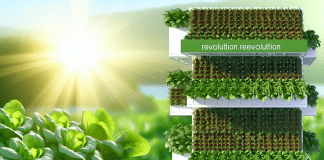 Soberanía alimentaria y sostenibilidad: La revolución de la hidroponía y la agricultura vertical en tu hogar