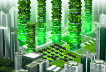 Hidroponía y Agricultura Vertical: Transformando la Alimentación Urbana y Empresarial con Inteligencia Artificial